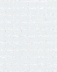 Replace 2 Salt by  Stout 