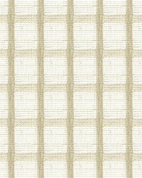 REVA 1 BEIGE REVA 1 BEIGE by