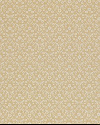 RINGSBORO 4 DAISY by   