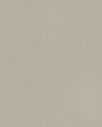 Riogrande 1 Porcelain by  Stout 