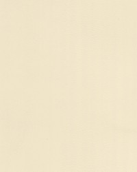 Riogrande 2 Cream by  Stout 