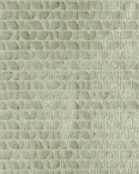 Roswell 2 Basil by  Stout 