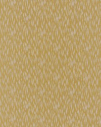 Safiya 3 Harvest by  Stout 