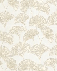 Salvador 1 Fawn by  Stout 