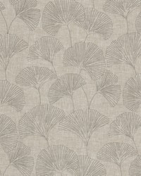 Salvador 2 Sandalwood by  Stout 