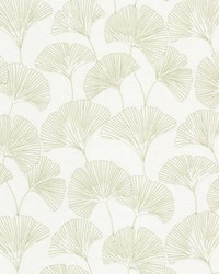 Salvador 4 Celery by  Stout 