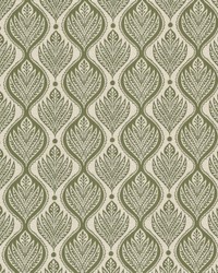 Saratoga 2 Seedling by   