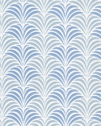 Schuman 2 Cornflower by  Stout 