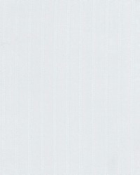 Scrunch 1 Porcelain by  Stout 