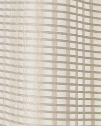 Sergio 1 Birch by  Futura Vinyls 