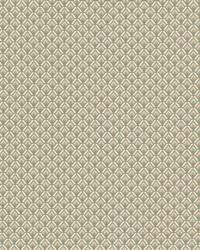 Sharon 8 Dewkist by  Highland Court 