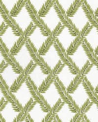 Skipper 3 Avocado by  Stout 