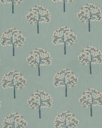 Skyron 1 Robinsegg by  Stout 