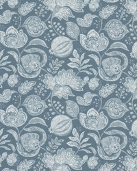 Snyder 2 Cadet by  Stout 