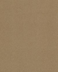 Sombra 4 Mushroom by  Stout 