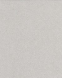 Sombra 5 Dove by  Stout 