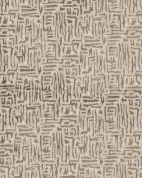 Splendid 1 Mushroom by  Stout 