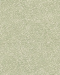 Spotswood 2 Dewkist by  Stout 