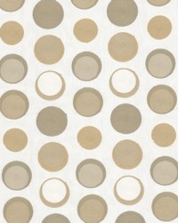 Spyro 1 Champagne by  Stout 