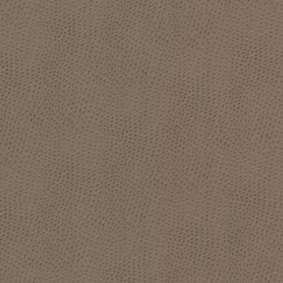 Stout Steeplechase 1 Putty LEATHER LOOKS V STEE-1 Beige UPHOLSTERY 1%OTH 1%OTH