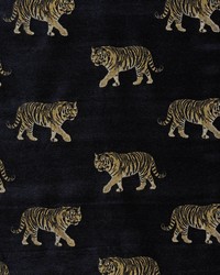 STEGER 1 BLACK by  Stout 