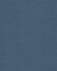 Stephen 1 Blueberry by   