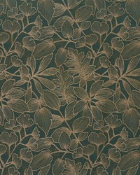 STORRS 2 HUNTER by  Zimmer and Rohde 