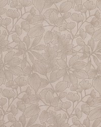 STORRS 4 PLATINUM by  Zimmer and Rohde 