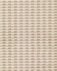 Striker 3 Oak by  Stout 