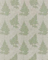 Suffolk 1 Dewkist by  Stout 