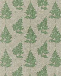 Suffolk 3 Basil by  Stout 