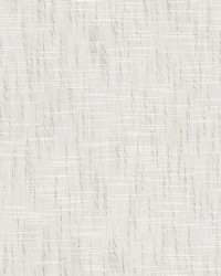 Tabernacle 1 Champagne by  Stout 