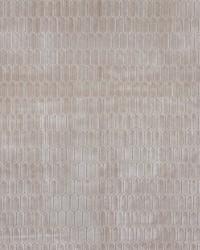 TAROT 5 PEWTER by  Zimmer and Rohde 