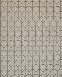 Telegram 2 Spring by  Futura Vinyls 