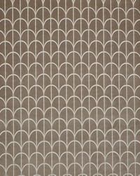 Telegram 3 Nutmeg by  Futura Vinyls 