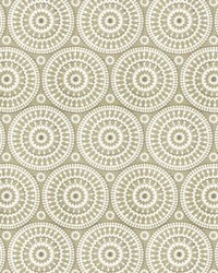 TELLURIDE 1 BIRCH BIRCH by  Stout 