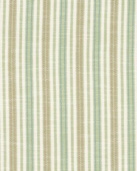 Tennyson 3 Aloe by  Stout 