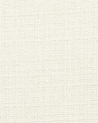 THRONE 1 NATURAL by  Stout 