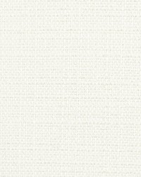 THRONE 2 EGGSHELL by  Stout 