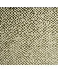 Tocci 6 Jungle TOCC-6 by   