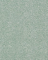 Torrington 2 Spa by  Zimmer and Rohde 