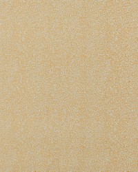 TORRINGTON 4 MARIGOLD by  Zimmer and Rohde 