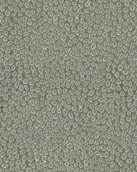 Trailside 1 Dewkist by  Stout 