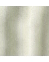 Trilogy 3 Celery TRIL-3 by   