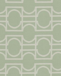 Tripoli 3 Aloe by  Stout 