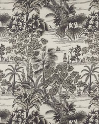 Tropic 2 Charcoal by  Premier Prints 