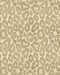 Tutsi 1 Taupe by   