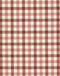 Twyla 2 Pumpkin by  Stout 