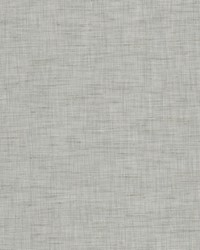 Tyler 4 Haze by  Stout 