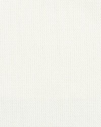 UCELLO 1 BONE by  Stout 